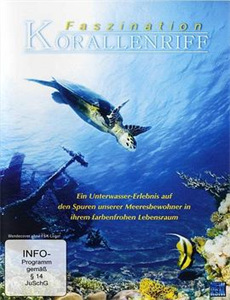 献身给魔王伊伏洛基亚吧