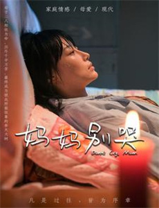 闪耀的成人罗曼史