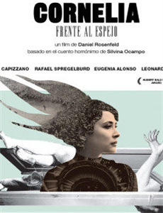 王立新讲宋太祖